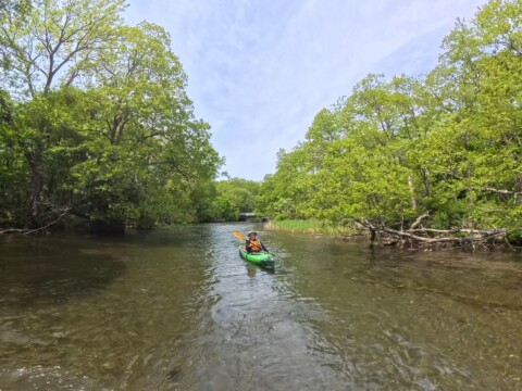 釧路川源流