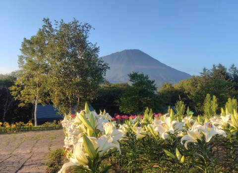 羊蹄山の眺望が美しい「まっかり温泉」
